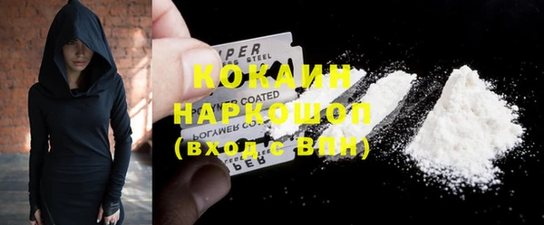 дживик Горняк