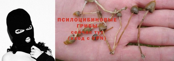 дживик Горняк