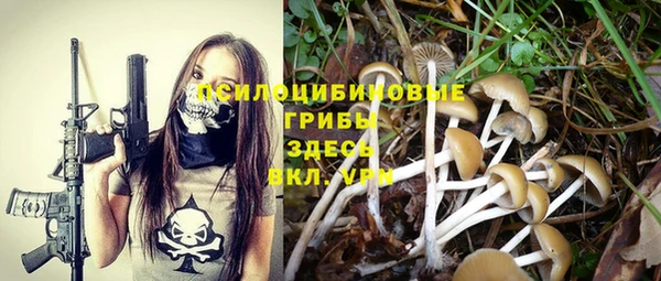 не бодяженный Горнозаводск